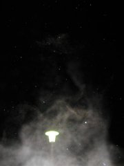 0612 20 - 19 28-24 (Medium).jpg